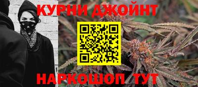 дмт Заводоуковск
