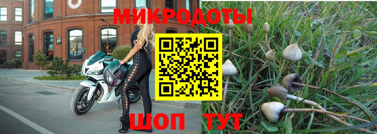 Псилоцибиновые грибы Psilocybine cubensis  Вход с VPN  Коркино 